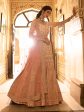 Myra Peach Crepe Embroidered Lehenga Cheap