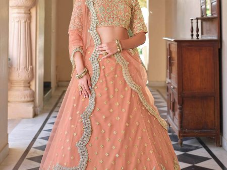 Myra Peach Net Embroidered Lehenga Cheap