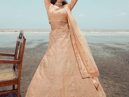 Myra Peach Organza Embroidered Designer Lehenga Choli Cheap