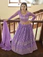 Myra Lilac Georgette Embroidered Lehenga on Sale