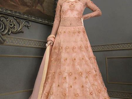 Myra Peach Soft Net Embroidered Handwork Gown Style Suit For Sale