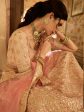 Myra Peach Crepe Embroidered Lehenga Cheap