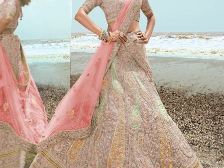 Myra Beige Organza Embroidered Designer Lehenga Choli Online Hot Sale