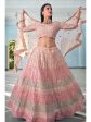 Myra Peach Organza Embroidered Lehenga For Cheap