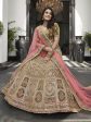 Myra Olive Green Velvet Embroidered Designer Lehenga For Cheap