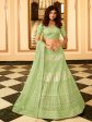 Myra Pista Green Organza Embroidered Lehenga Choli Discount