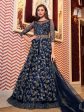 Myra Navy Blue Net Embroidery Gown Online Sale