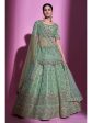 Myra Pista Green Gota Silk Embroidered Designer Lehenga Choli on Sale