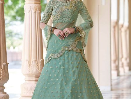 Myra Pista Net Embroidered Lehenga Cheap