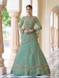 Myra Pista Net Embroidered Lehenga Cheap