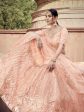 Myra Peach Soft Net Heavy Embroidered Lehenga Hot on Sale