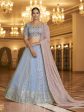 Myra Sky & Dusty Pink Gorgette Embroidered Designer Lehenga Choli Online Sale