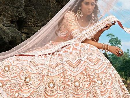 Myra Peach Embroidered Net Lehenga Choli Fashion