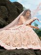 Myra Peach Embroidered Net Lehenga Choli Fashion