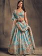 Myra Sky Blue Organza Silk Embroidered Lehenga Supply