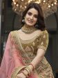 Myra Olive Green Velvet Embroidered Designer Lehenga For Cheap