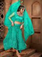 Myra Sea Green Heavy Embroidered Net Lehenga For Cheap