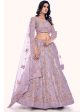 Myra Lilac Soft Net Embroidered Designer Lehenga Choli Online now