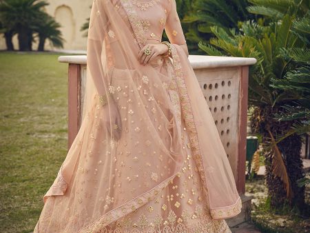 Myra Blush Net Heavy Embroidered Designer Lehenga Hot on Sale