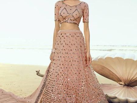 Myra Peach Embroidered Net Lehenga Discount