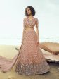 Myra Peach Embroidered Net Lehenga Discount