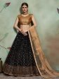 Myra Black Soft Net Heavy Embroidered Lehenga Online Hot Sale