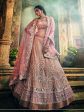 Myra Rose Taupe Georgette Embroidered lehenga Online Hot Sale