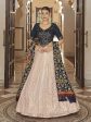 Myra Pink and Navy Blue Georgette Designer Lehenga Choli Online now