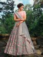 Myra Pink and Grey Net Embroidered Lehenga For Discount