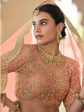 Myra Peach Net Embroidered Lehenga Cheap