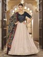 Myra Pink and Navy Blue Georgette Designer Lehenga Choli Online now