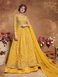 Myra Mustard Yellow Butterfly Net Embroidered Anarkali Suit Online Sale