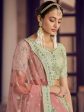 Myra Pista Green Crepe Embroidered Lehenga Online