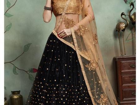 Myra Black Soft Net Heavy Embroidered Lehenga Online Hot Sale