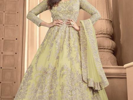 Myra Pista Butterfly Net Embroidered Anarkali Suit Online Sale