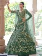 Myra Rama Green Net Embroidered Lehenga For Sale