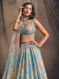 Myra Sky Blue Organza Silk Embroidered Lehenga Supply