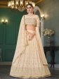 Myra Beige Georgette Embroidered Designer Lehenga Sale